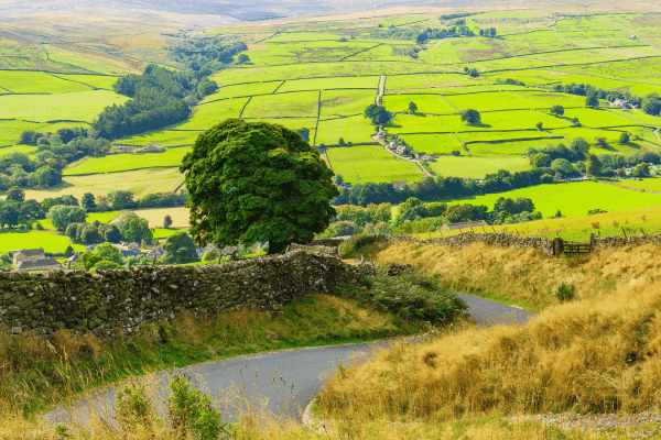 Tour di guida di Nidderdale — image 2