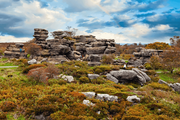 Tour di guida di Nidderdale