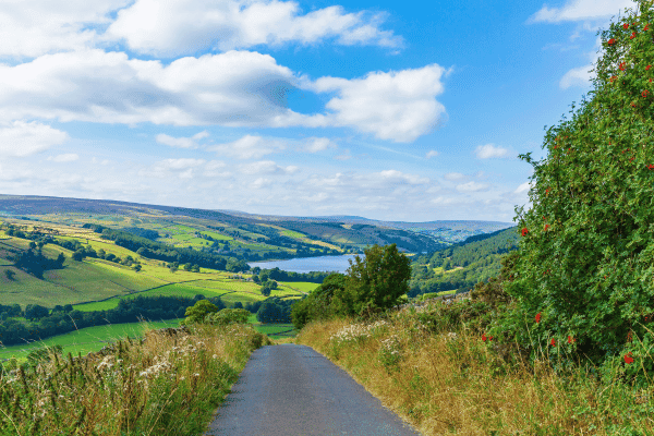 Tour di guida di Nidderdale — image 4