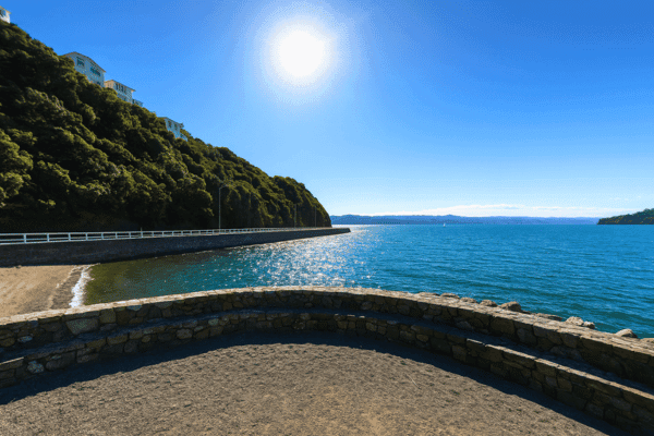 Tour autonomo sulla costa di Wellington — image 2