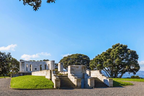 Tour autonomo sulla costa di Wellington — image 3