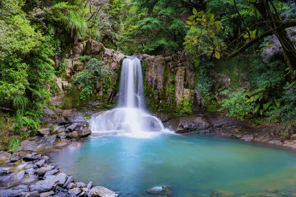 Coromandel Peninsula New Zealand Self Drive Tour