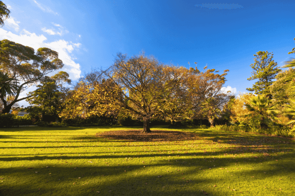 Williamstown Botanic Gardens