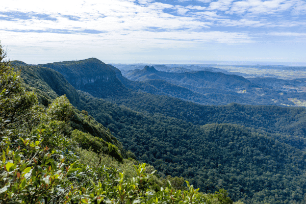 Spring Brook National Park Self Guided Driving Tour — image 5