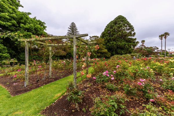 Auckland Domain