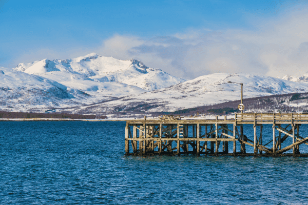 Tromso Northern Lights self guided Walking Tour — image 4