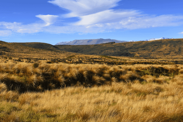 Valle de Eglinton