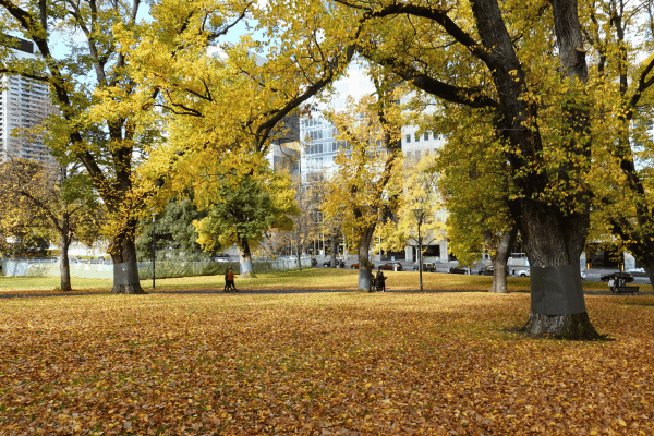 Melbourne City Magic Self Guided Walking Tour — image 3