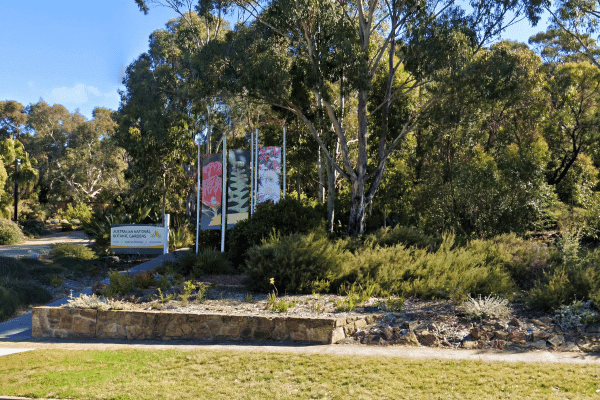 Selbstgeführter Rundgang zu den Highlights der Stadt Canberra — image 4