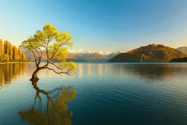 New Zealand