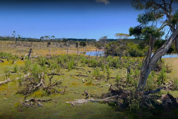 Phillip Island Wildlife Park