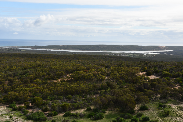 Meanarra Hill Lookout (Mallee Fowl Walk)