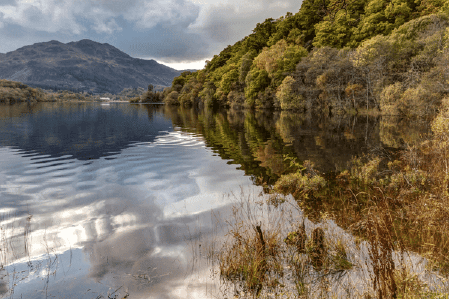 Loch Lomond and Trossachs Drive Tour