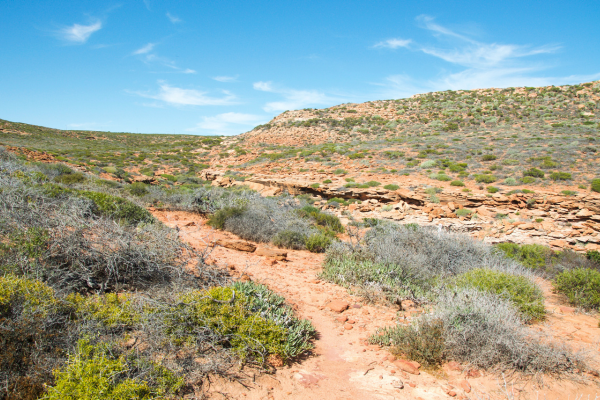 Mushroom Rock Nature Trail