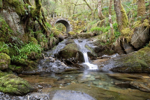 The Fairy Bridge