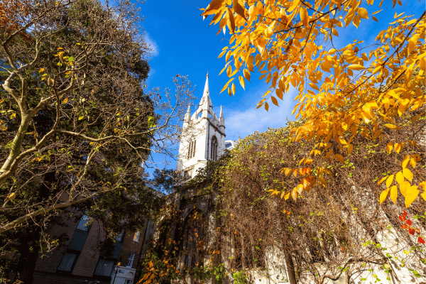 St Dunstan in the East Church Garden
