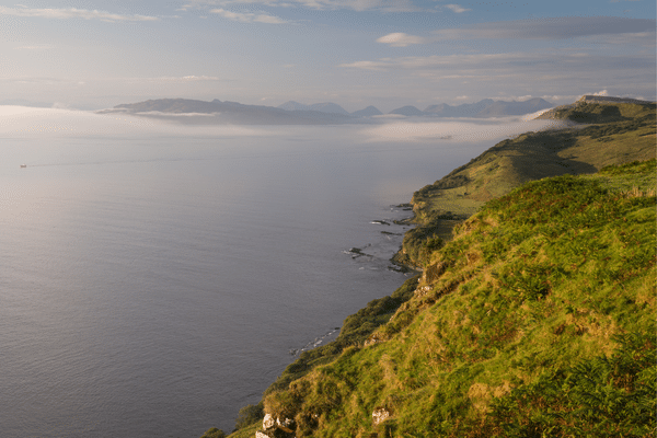 Rigg Viewpoint