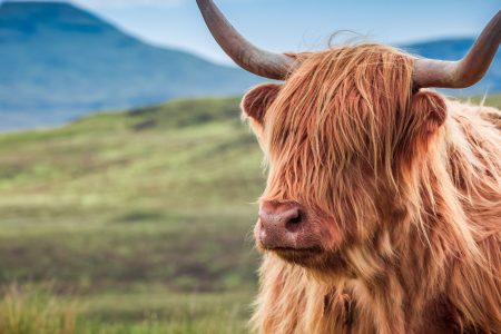 Top 5 Scenic Drives on the Isle of Skye That Will Take Your Breath Away