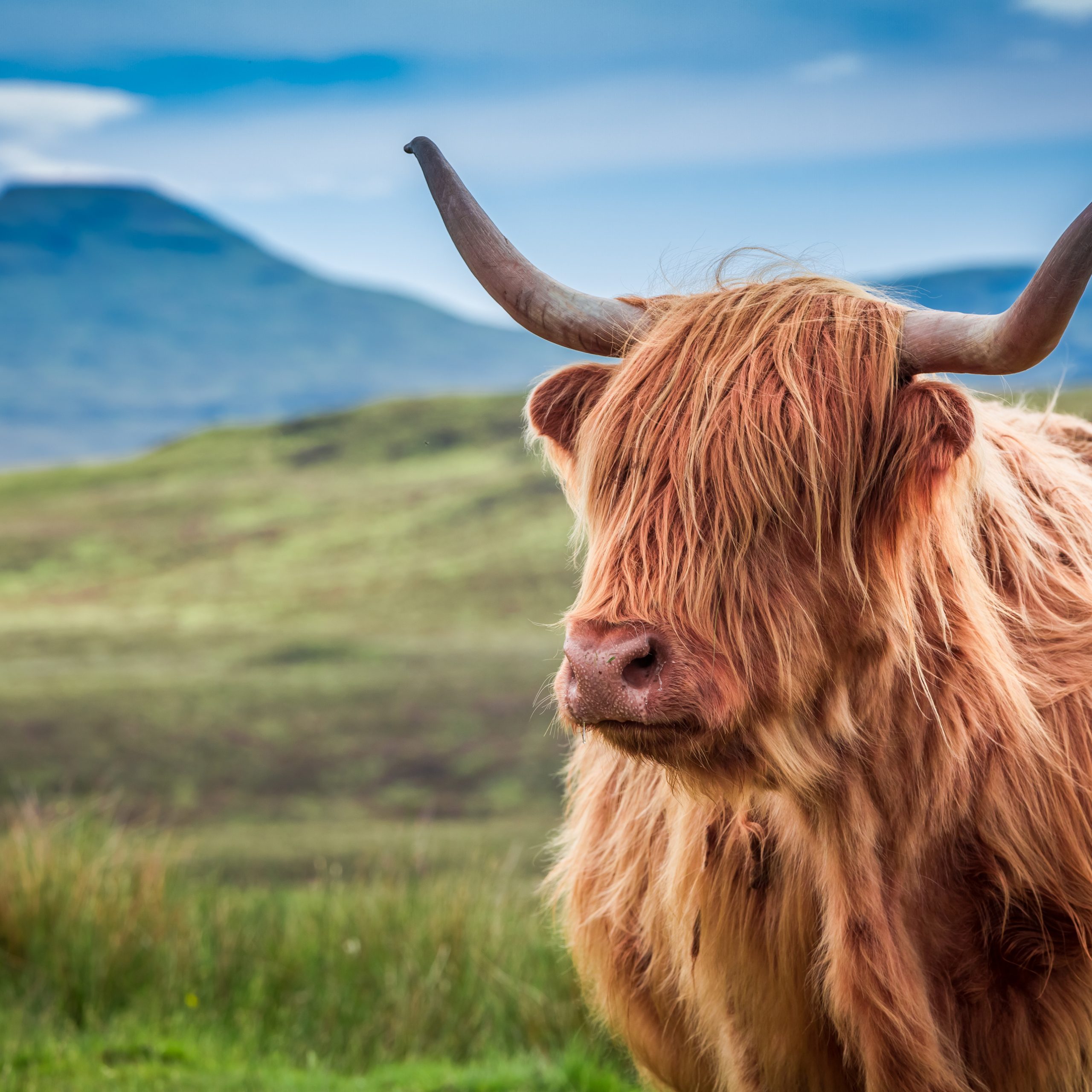 The Cultural Heartbeat of Isle of Skye: From Ancient Clans to Modern Arts