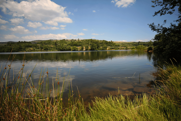 Swinsty and Fewston Reservoirs: A Tranquil Walk Through Nature's Oasis