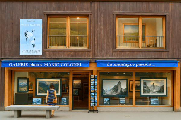 Mario Colonel Gallery