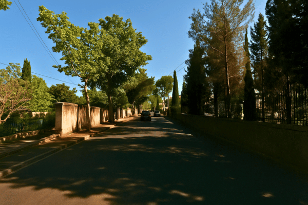 Avenida Vincent Van Gogh