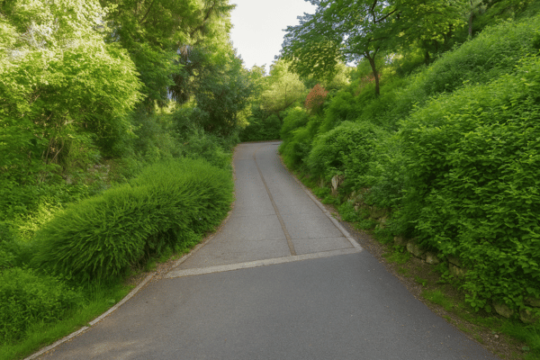 The Hidden Trail Toward Farewell