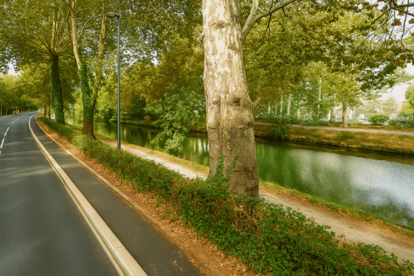 Canal Du Midi
