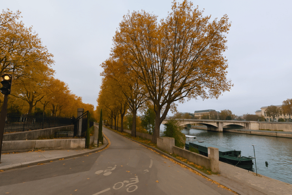 Pavement Towards Outdoor Museum