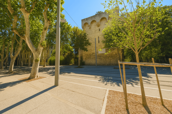 Square De La Tour De Pins