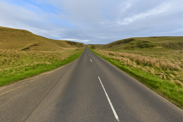 Into The Wilds