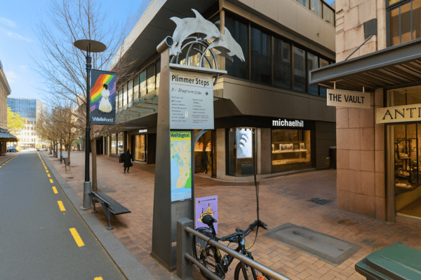 Plimmers Steps - "Father" of Wellington