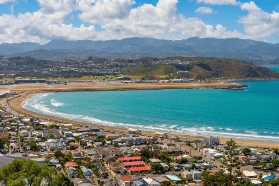 Wellington Coastal Self Drive Tour
