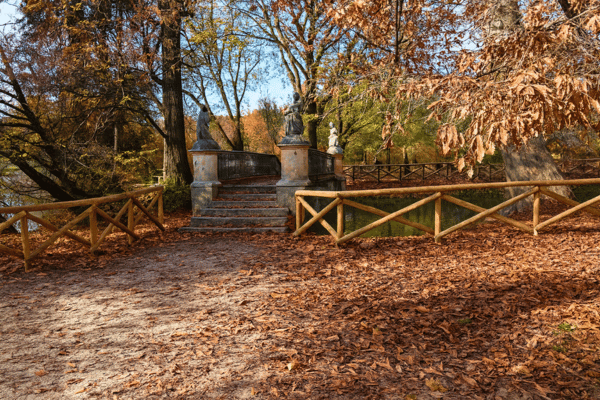 Bridge of the Little Mermaids