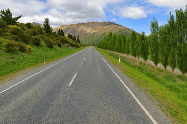 Vue sur les peupliers