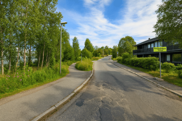 Tanzende Lichter von Tromsø