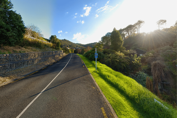 Cathedral Cove Track