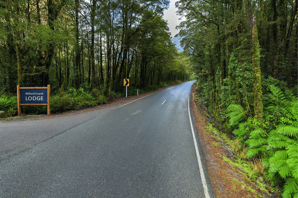 Le tunnel vivant du Fiordland