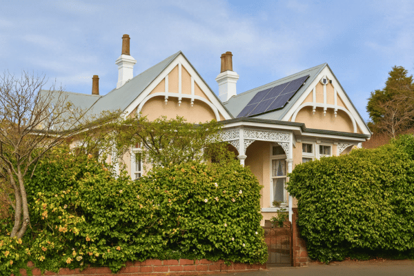  The Dunedin Museum of Natural Mystery