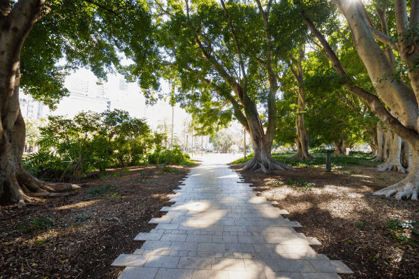 Frederic Joseph Walker Memorial Fountain