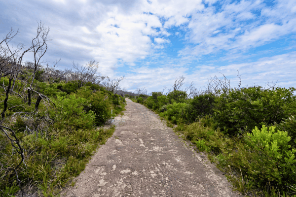 Close Defense Battery Observation Post 