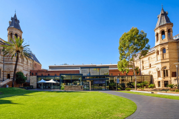 South Australian Museum