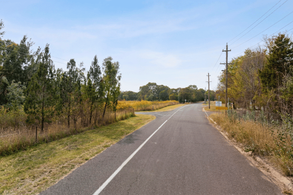 Jerrabomberra Wetlands Nature Reserve