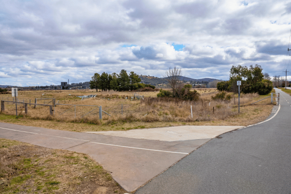 Secrets Under the Wetlands