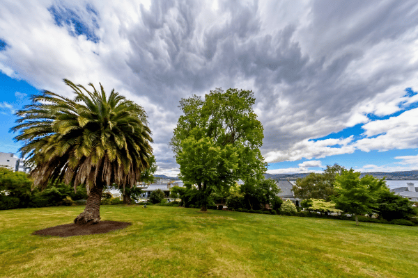 Princes Park Magazine 