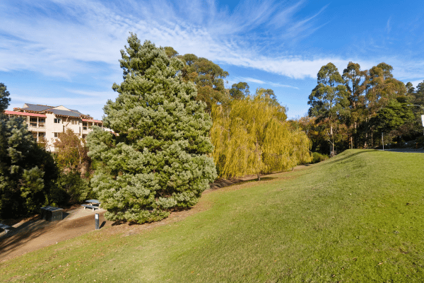 Hobart Rivulet Park 