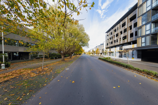 Where Silence Watches